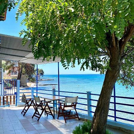Manolis Studios Thassos Skála Kallirákhis Exteriör bild