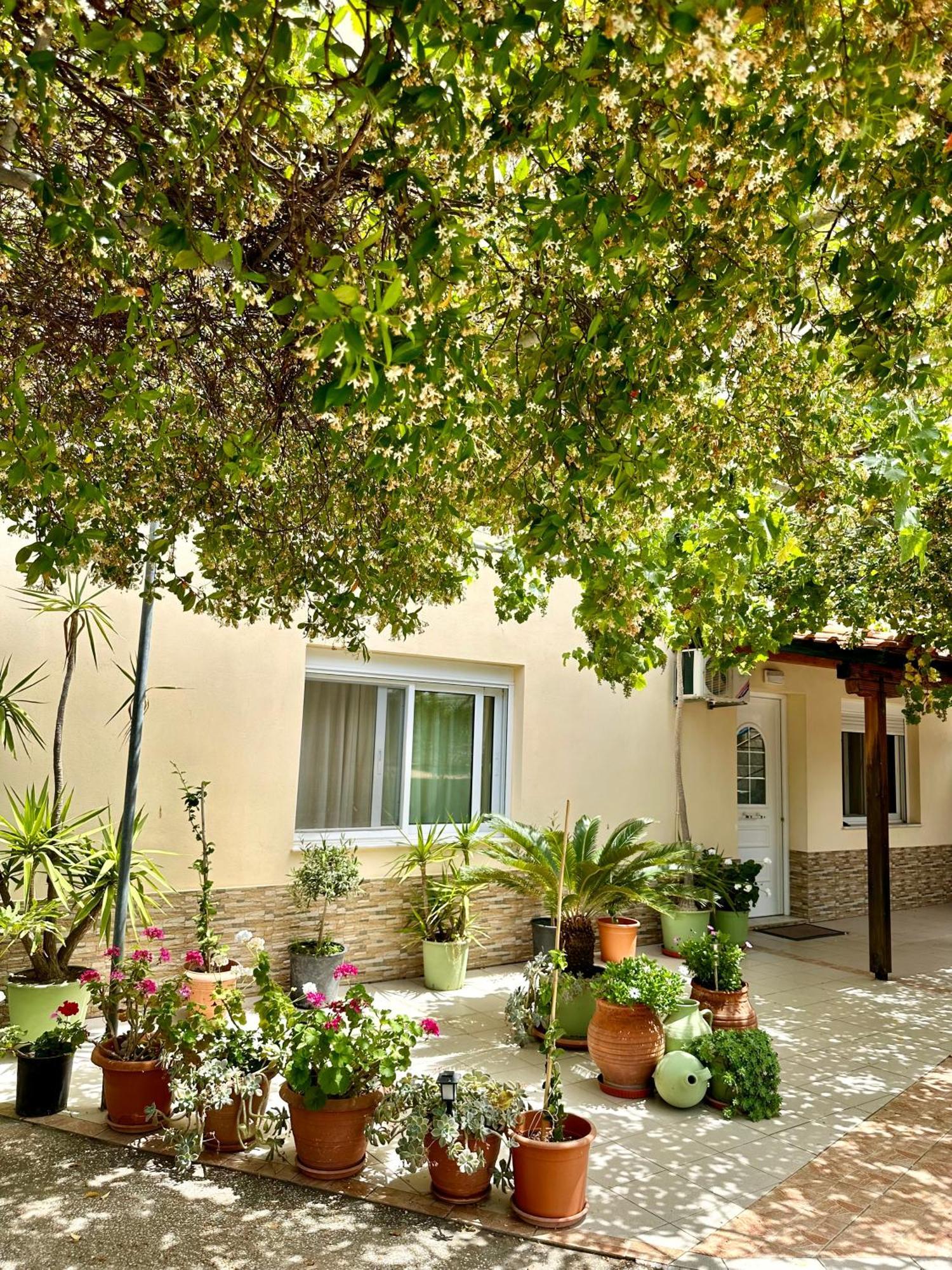 Manolis Studios Thassos Skála Kallirákhis Exteriör bild